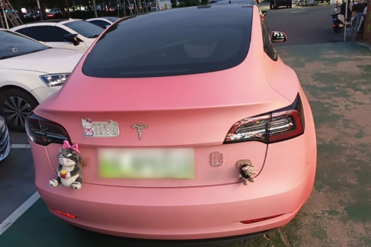 Tesla Model 3 2022 car image #6