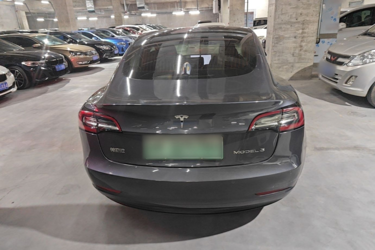 Tesla Model 3 2020 car image #6