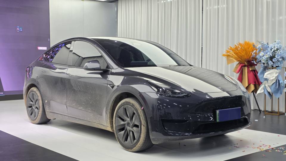 Tesla Model Y 2024 Tesla Model Y 2024 car image