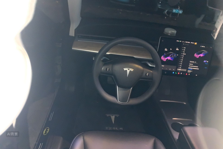Tesla Model 3 2021 imagem de carro #12