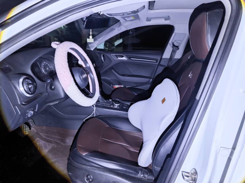Audi A3 2019 car image #9
