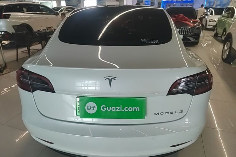 Tesla Model 3 2023 #4 Tesla Model 3 2023 car image #4