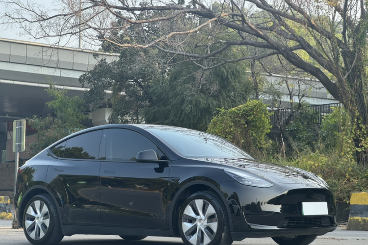 特斯拉 Model Y 2023 汽车图片 #10