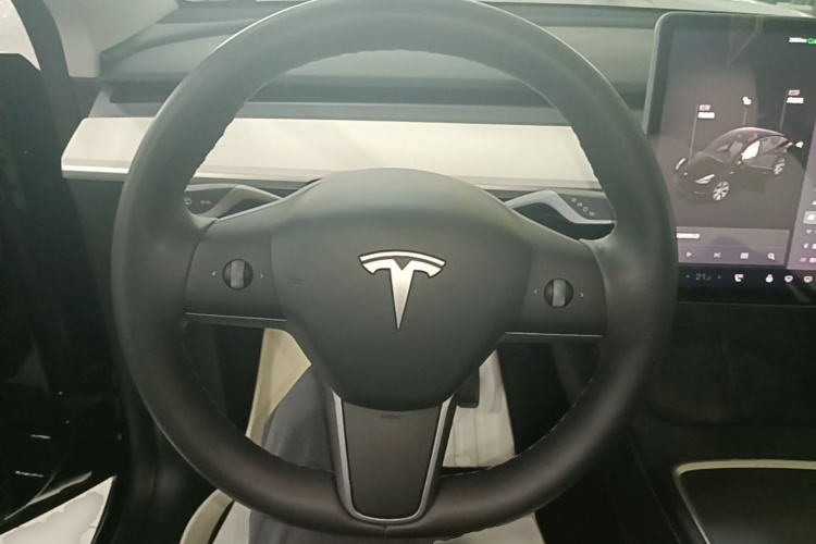 Tesla Model Y 2021 car image #15
