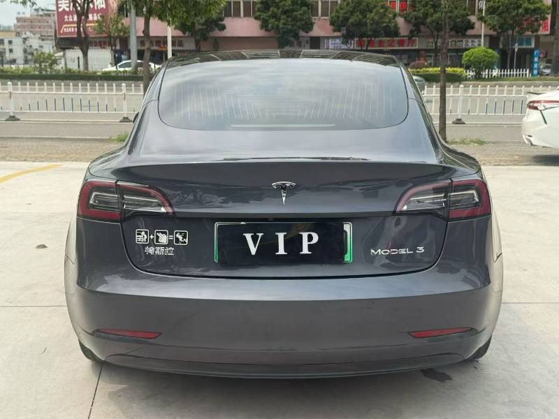 Tesla Model 3 2020 #5 Tesla Model 3 2020 car image #5
