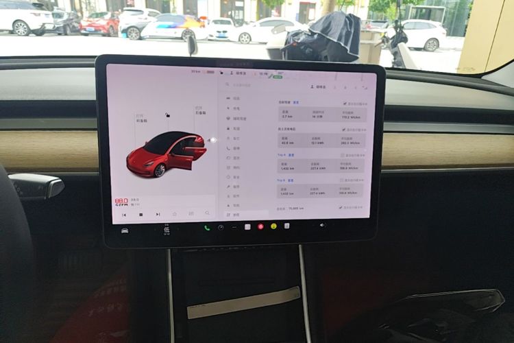 Tesla Model 3 2020 car image #13