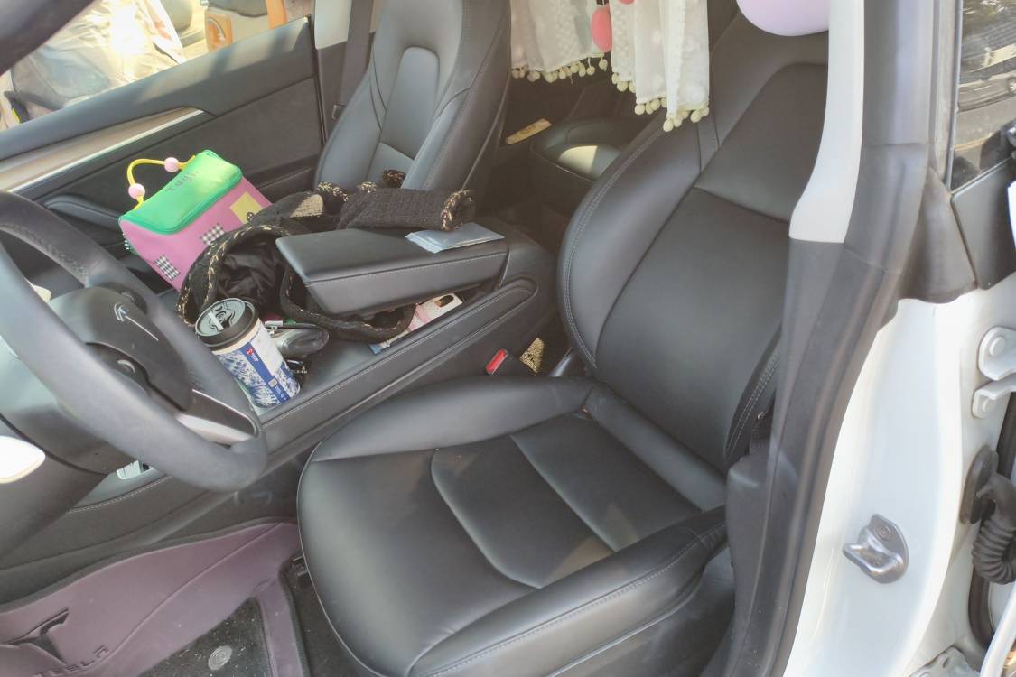 Tesla Model 3 2023 car image #20