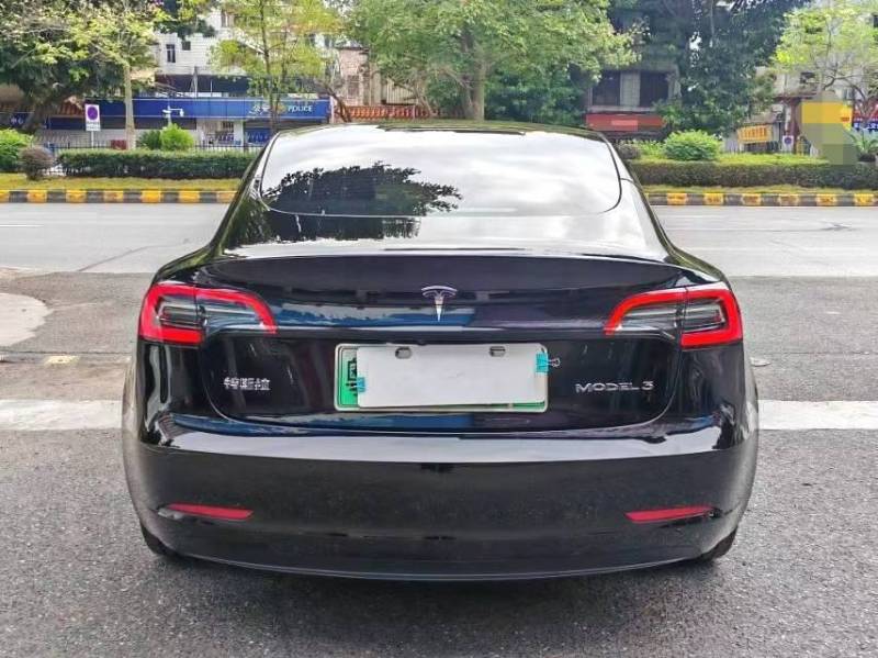 Tesla Model 3 2020 car image #5