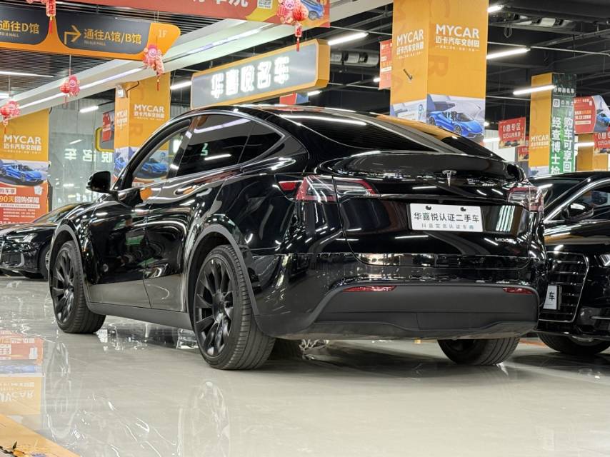 Tesla Model Y 2023 #6 Tesla Model Y 2023 car image #6