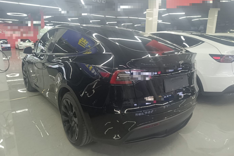 Tesla Model Y 2023 #5 Tesla Model Y 2023 car image #5