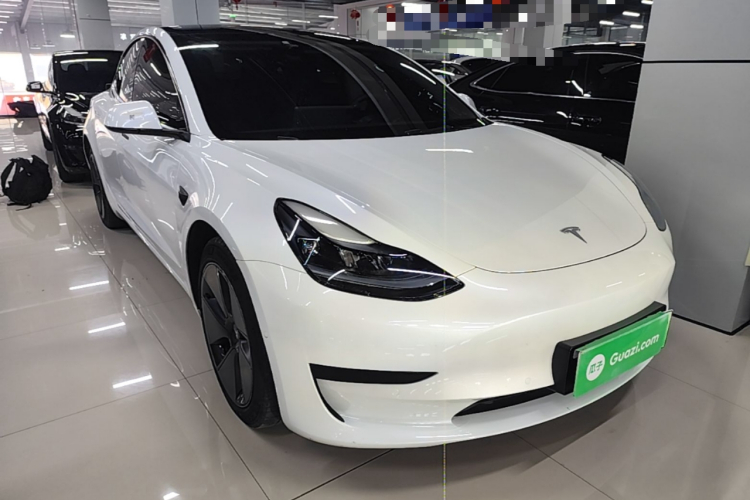 Tesla Model 3 2021 #4 Tesla Model 3 2021 car image #4