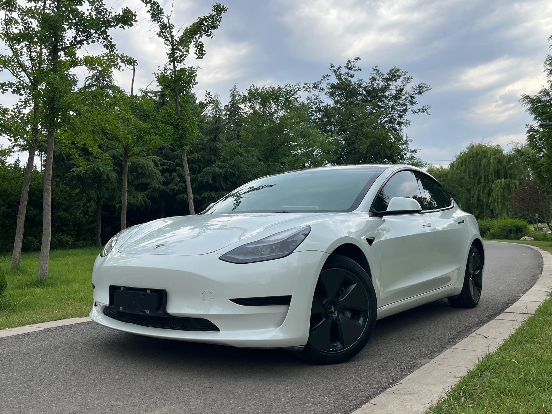 Tesla Model 3 2023 Tesla Model 3 2023 car image