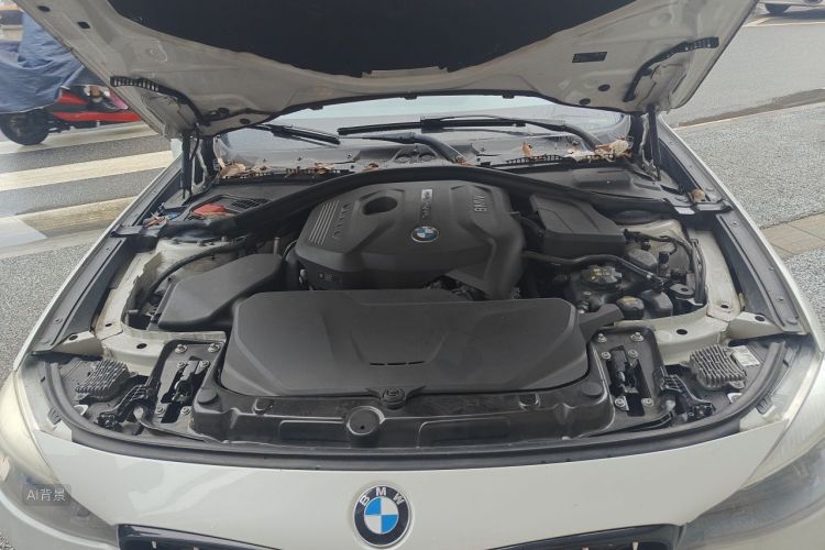 BMW 3 Series GT 2017 car image #22