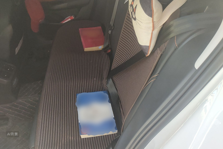 Volkswagen Bora 2023 image de voiture #19