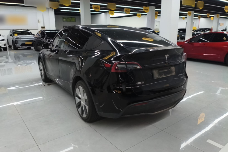 Tesla Model Y 2021 #5 Tesla Model Y 2021 car image #5