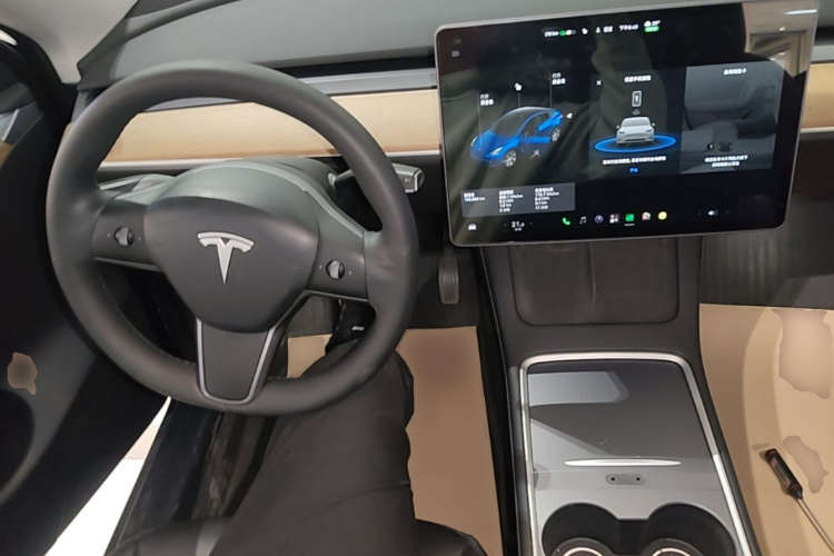 Tesla Model Y 2021 #10 Tesla Model Y 2021 imagen de coche #10