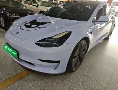 Tesla Model 3 2023 Tesla Model 3 2023 car image