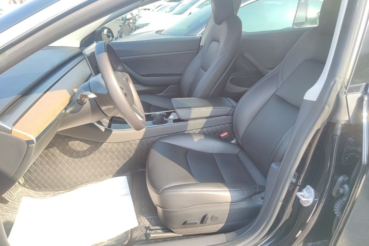 Tesla Model 3 2020 car image #15