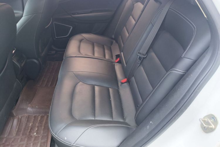 GEELY Emgrand GS 2017 car image #17