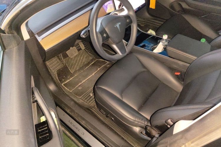 Tesla Model 3 2020 immagine di auto #18