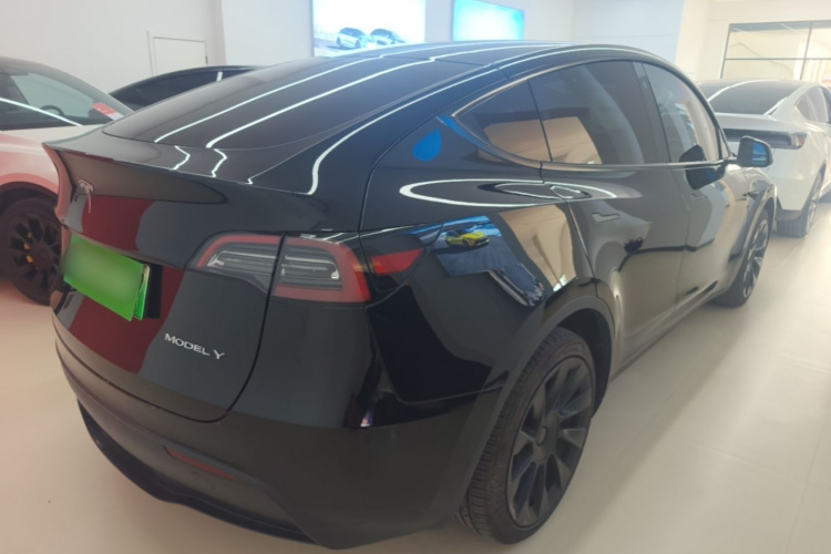 Tesla Model Y 2023 #7 Tesla Model Y 2023 car image #7