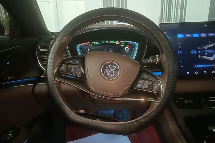 BYD Han 2021 #11 BYD Han 2021 immagine di auto #11