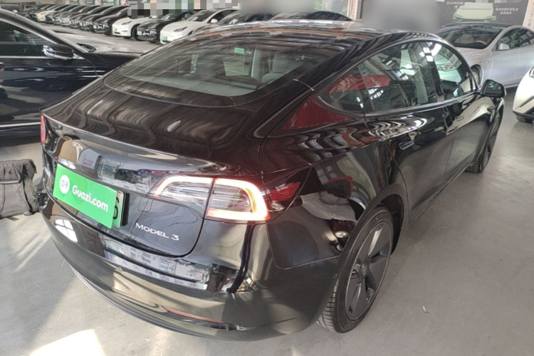 Tesla Model 3 2022 immagine di auto #7