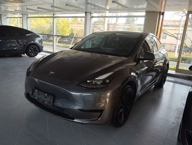 Tesla Model Y 2022 Tesla Model Y 2022 car image