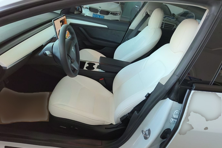 Tesla Model 3 2021 #19 Tesla Model 3 2021 car image #19
