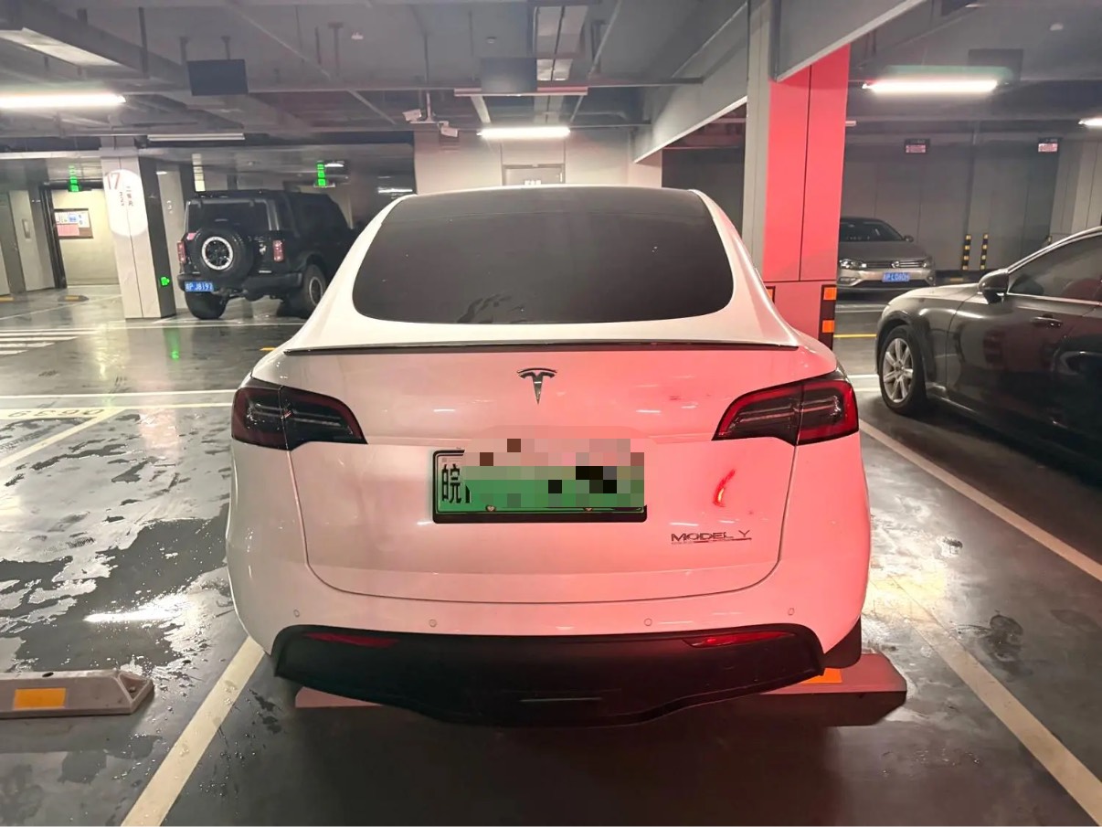 Tesla Model Y 2022 car image #7