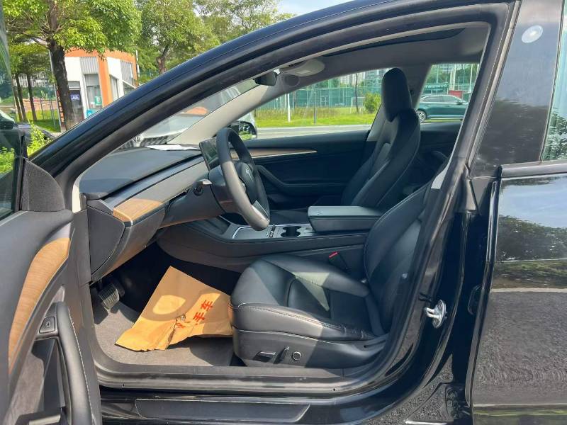 Tesla Model 3 2021 car image #4