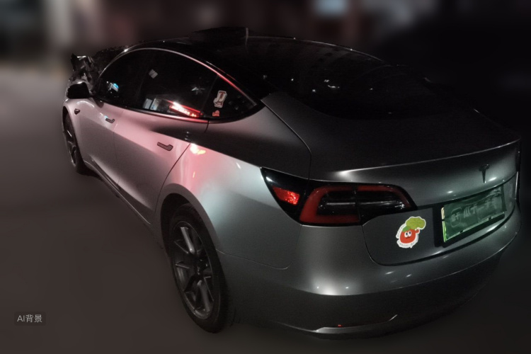 Tesla Model 3 2021 #5 Tesla Model 3 2021 car image #5