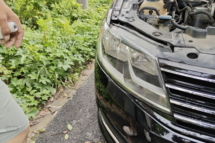 Volkswagen Lavida 2018 car image #8