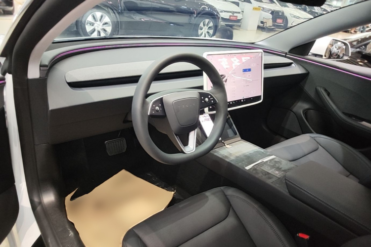 Tesla Model 3 2025 immagine di auto #10