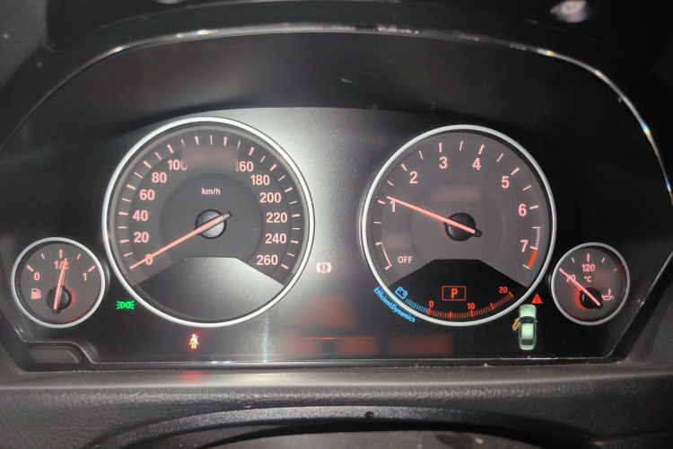 BMW 3 Series 2018 car image #21