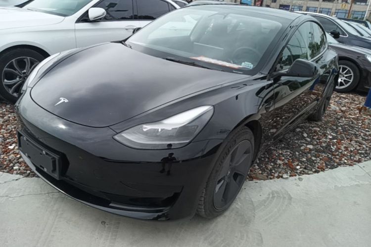 Tesla Model 3 2021 #2 Tesla Model 3 2021 car image #2