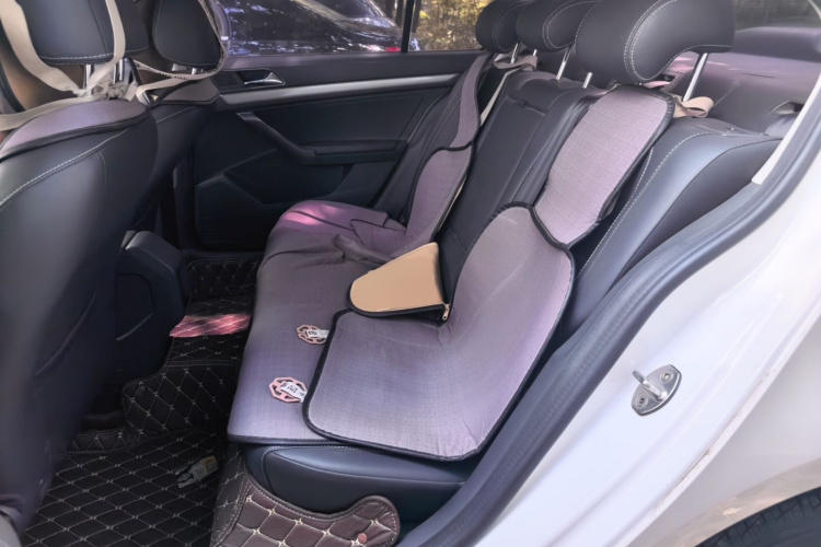 Volkswagen Lavida 2018 car image #10