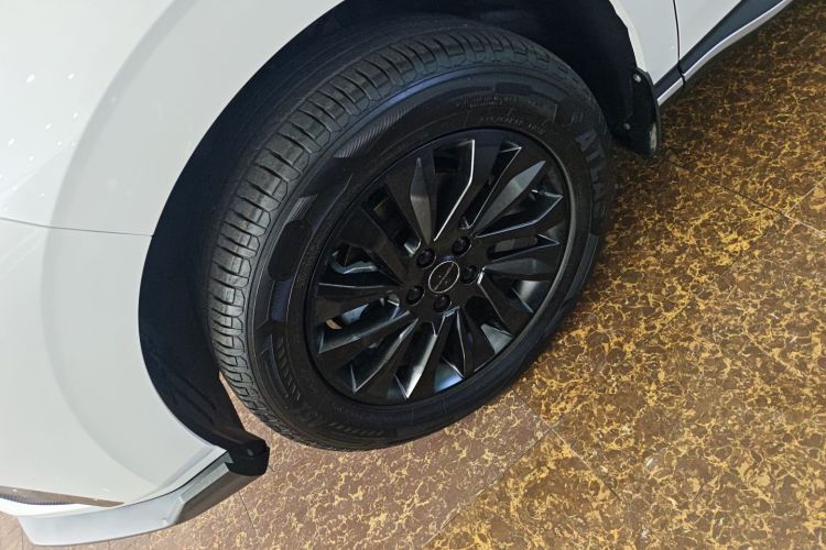 Forthing T5 EVO 2024 immagine di auto #9
