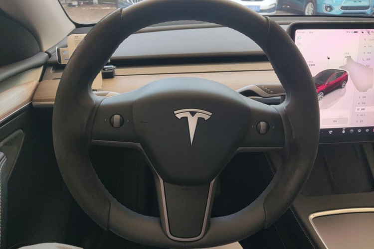 Tesla Model Y 2023 car image #15