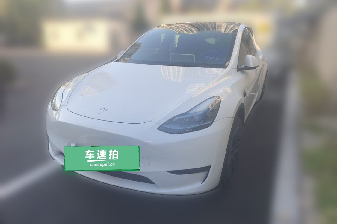 Tesla Model Y 2024 Tesla Model Y 2024 car image