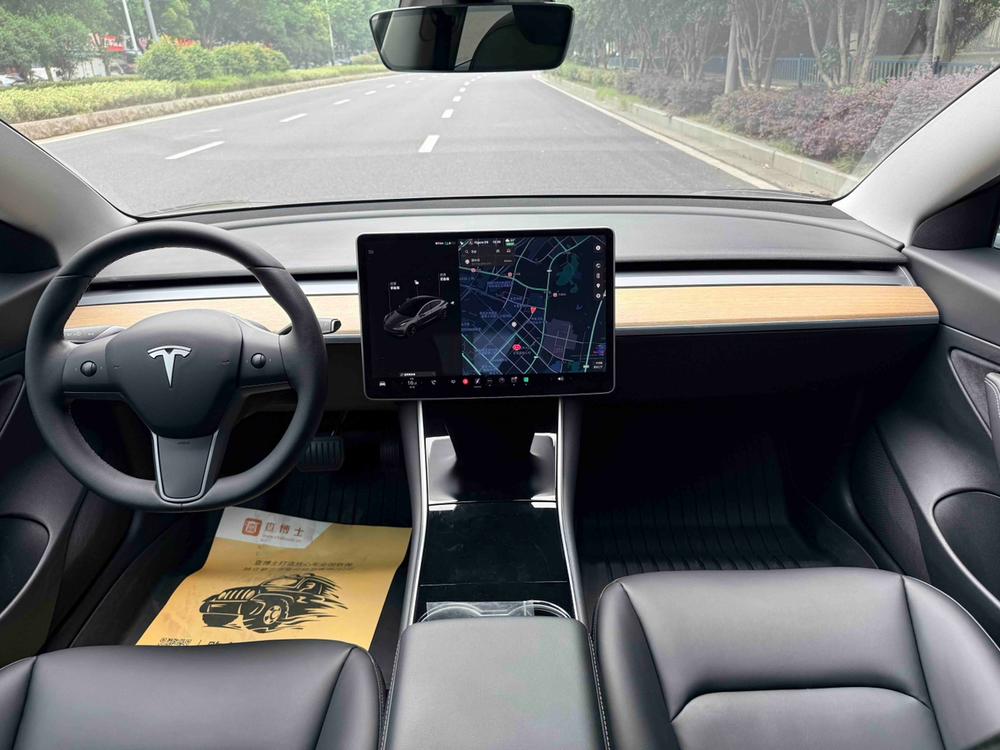 Tesla Model 3 2020 car image #7