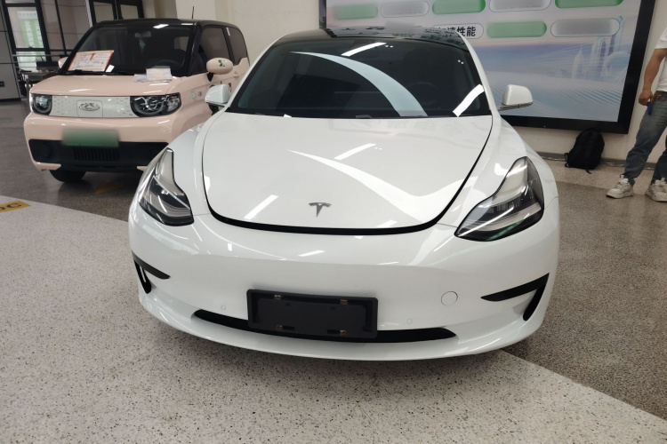 Tesla Model 3 2020 car image #3
