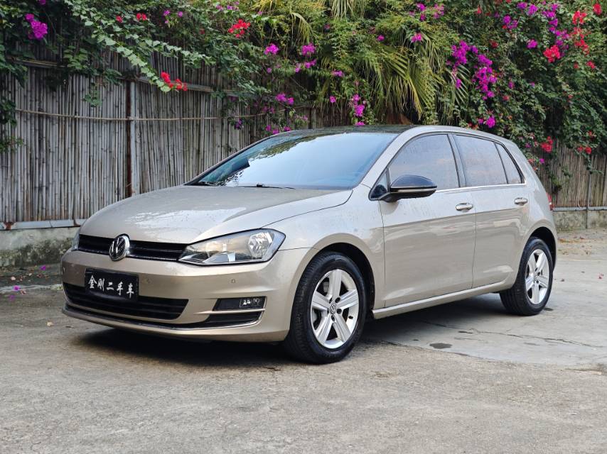 Volkswagen Golf 2018 car image 