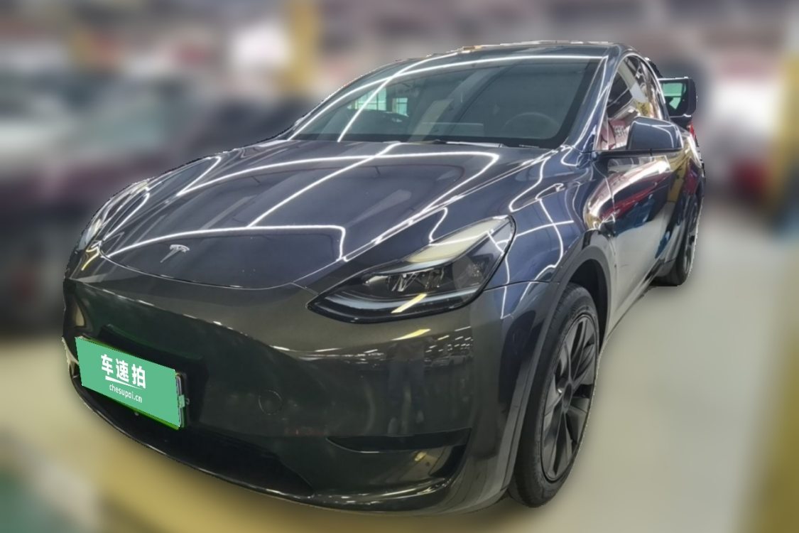 Tesla Model Y 2024 Tesla Model Y 2024 car image