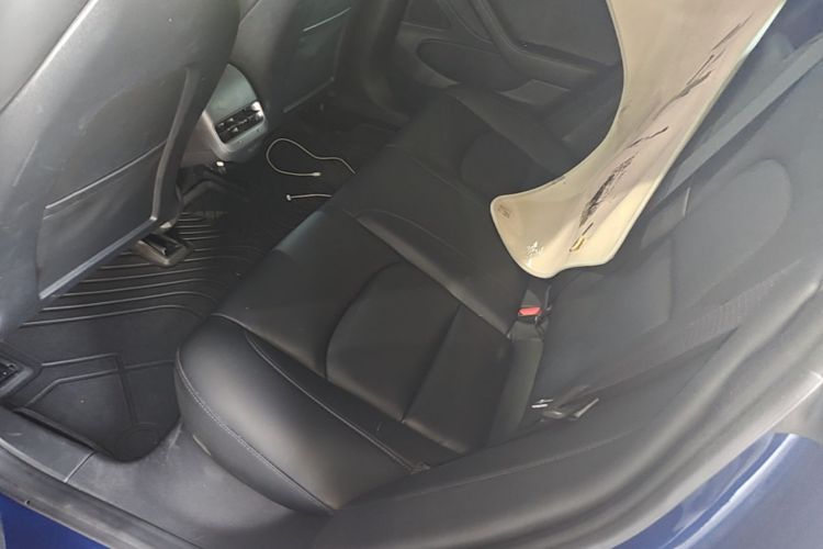 Tesla Model 3 2020 #17 Tesla Model 3 2020 car image #17