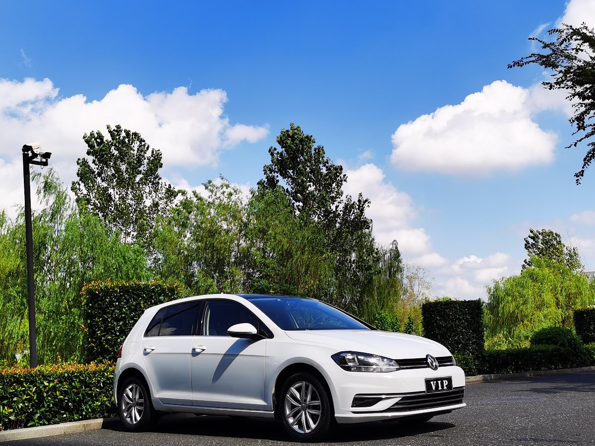 Volkswagen Golf 2019 #3 Volkswagen Golf 2019 car image #3