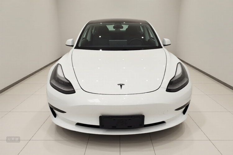 Tesla Model 3 2020 car image #3