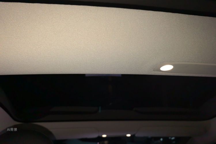 Tesla Model 3 2020 car image #20
