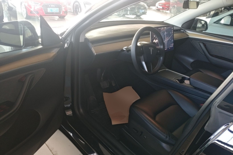 Tesla Model Y 2022 car image #16