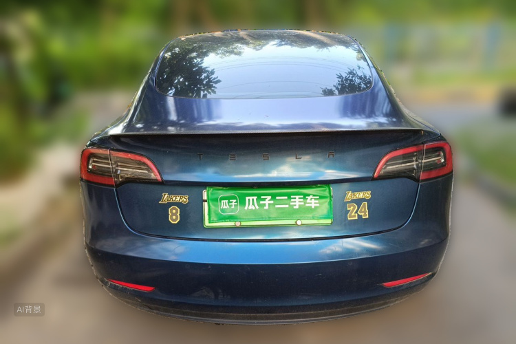 Tesla Model 3 2021 car image #6